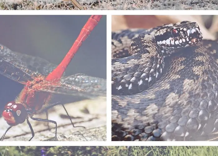 Jaszowiec 92 Abc Appartement *